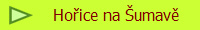 Hoice na umav