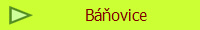 Bovice