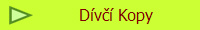 Dv Kopy