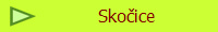 Skoice