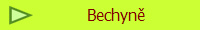Bechyn