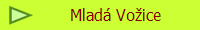 Mlad Voice