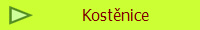 Kostnice