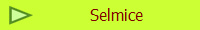 Selmice