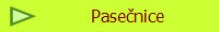 Pasenice