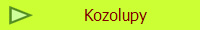 Kozolupy