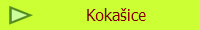 Kokaice