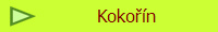Kokon