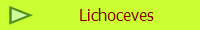 Lichoceves