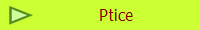 Ptice