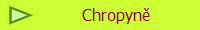 Chropyn