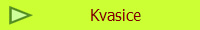 Kvasice