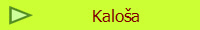 Kaloa