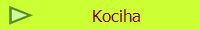 Kociha