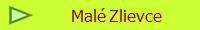 Mal Zlievce