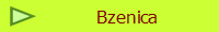 Bzenica