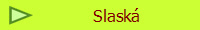 Slask