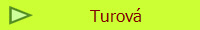 Turov