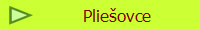 Plieovce