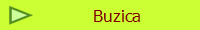 Buzica