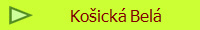Koick Bel