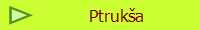 Ptruka