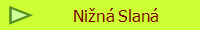 Nin Slan