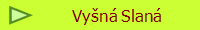 Vyn Slan