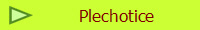 Plechotice