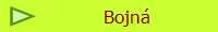 Bojn