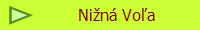 Nin Voa