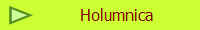 Holumnica