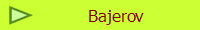 Bajerov