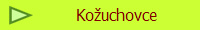 Kouchovce