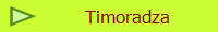 Timoradza