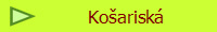 Koarisk