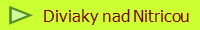 Diviaky nad Nitricou