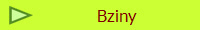 Bziny