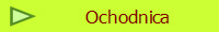 Ochodnica