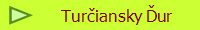 Turiansky ur