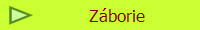 Zborie