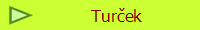 Turek